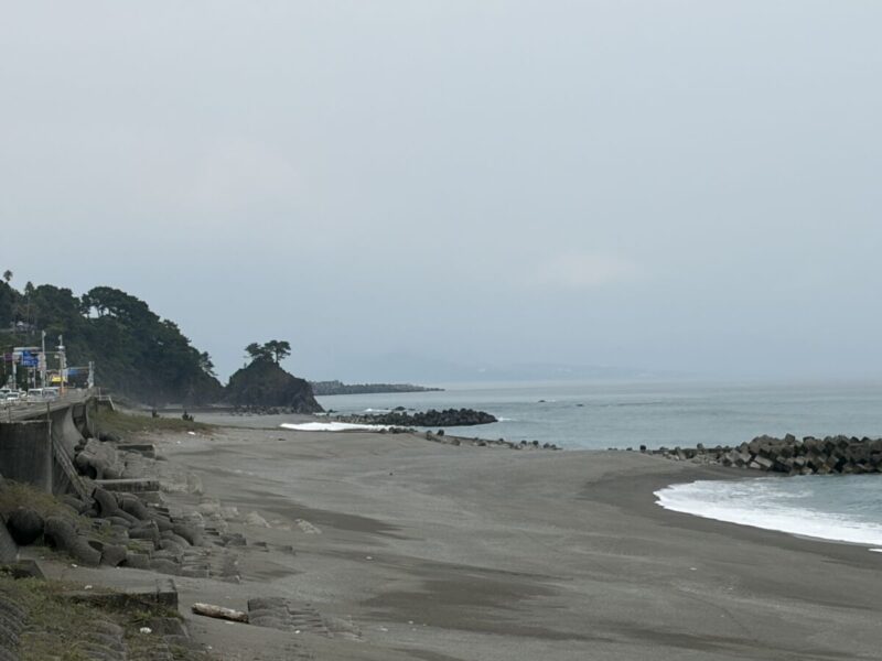 桂浜